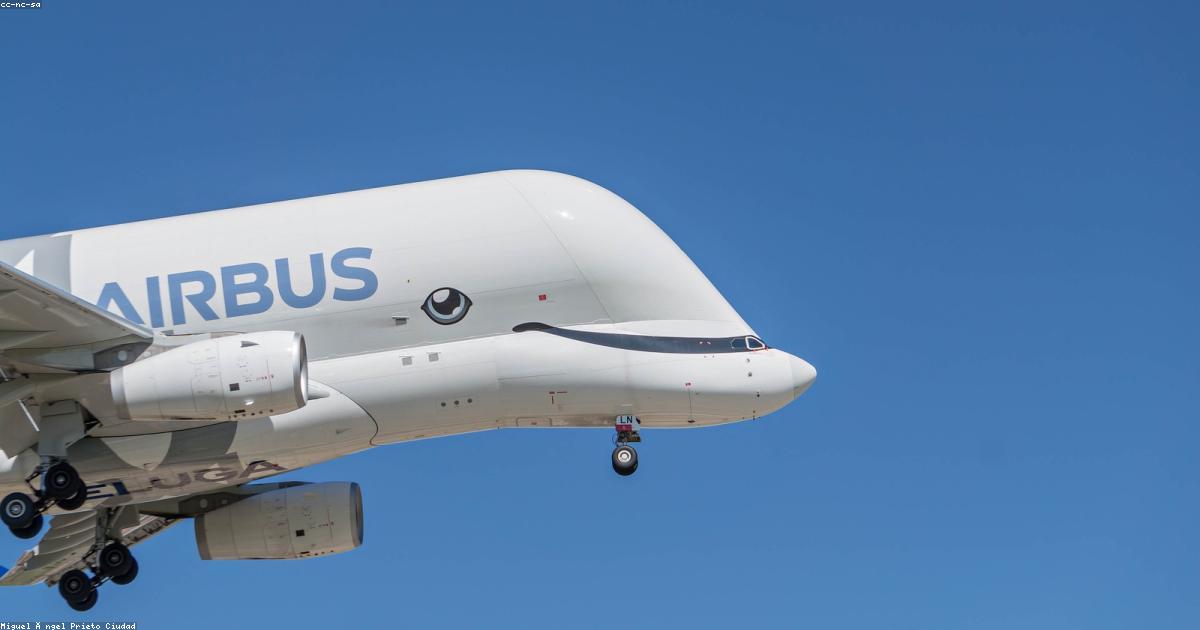 飛行機マイルの効率的な貯め方【2026年】初心者向け完全ガイド