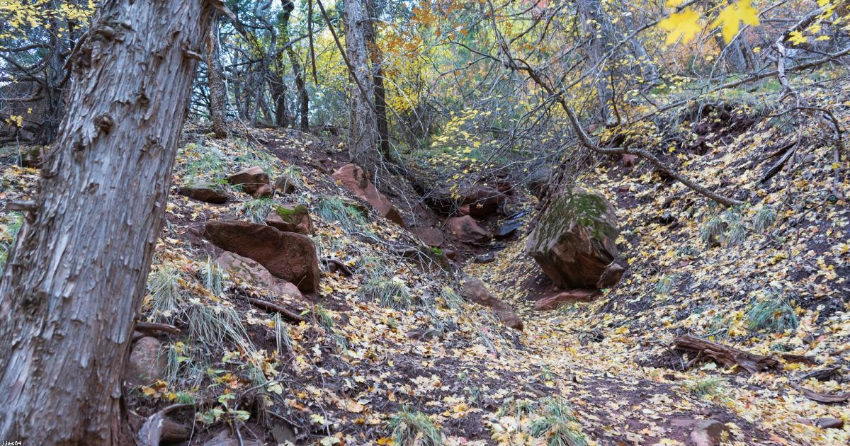 登山初心者の装備リスト【2026年】日帰り登山に必要なもの完全ガイド